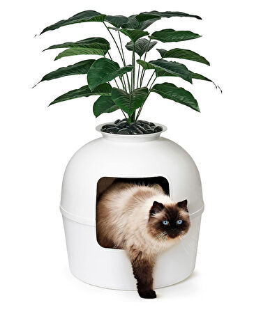 Dekoratif Kedi Tuvaleti & Evi