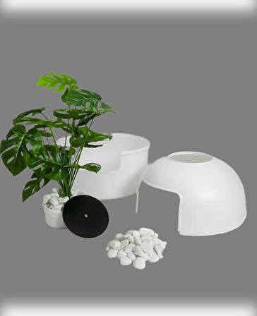 Dekoratif Kedi Tuvaleti & Evi