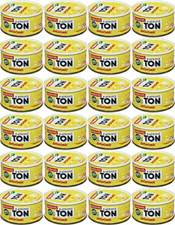 Dardanel Ekonomik Ton Balığı 24 x 75 G