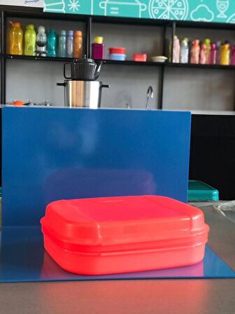 Tupperware Tek Bölmeli Beslenme Kutusu, Saklama Kabı