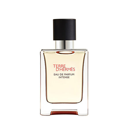 Hermès Terre d'Hermès, Eau de Parfum Intense 50ML Erkek Parfüm