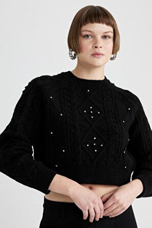 DeFacto Crop Bisiklet Yaka Taşlı Siyah Triko Kazak C0781AX23WNBK81