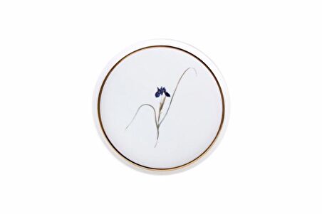 Porland Botanical 21cm  4'lü Pasta Takımı 04ALM007234