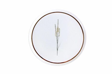 Porland Botanical 21cm  4'lü Pasta Takımı 04ALM007234