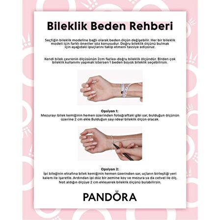 Pandora 580719 19cm-Moments 14 Ayar Pembe Altın Kaplama Kalp Klipsli 925 Ayar Gümüş Bileklik