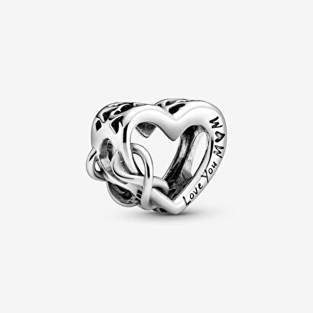 Pandora 798825C00-‘Seni Seviyorum Anne’ Sonsuzluk 