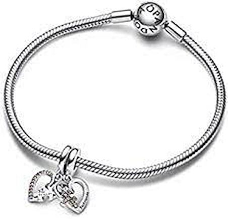 Pandora 792239C01-Puzzle Parçası ve Kalpli Arkadaşlık Sallantılı Charm