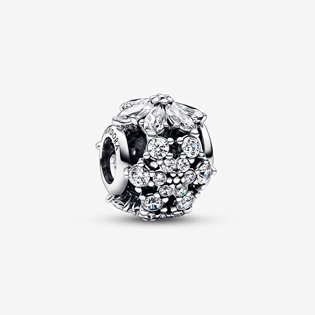 Pandora Işıltılı Herbaryum Yuvarlak Charm 792383C01