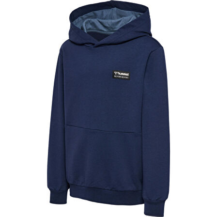 Hummel Glen Çocuk Hoodie 221036-1009