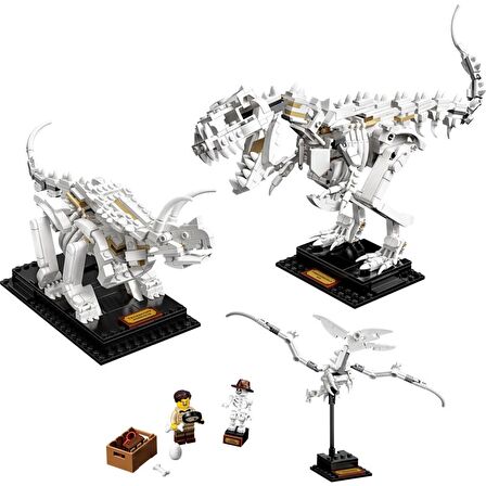 LEGO Ideas 21320 Dinosaur Fossils