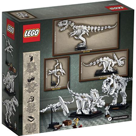 LEGO Ideas 21320 Dinosaur Fossils
