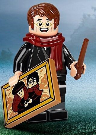 LEGO Minifigures 71028 Harry Potter Series 2 : 8.James Potter