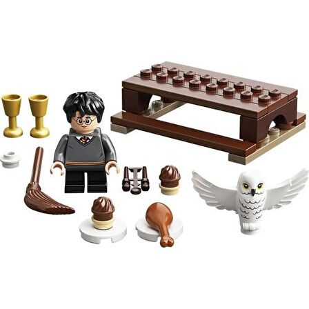 LEGO Harry Potter 30420 Harry Potter and Hedwig: Owl Delivery