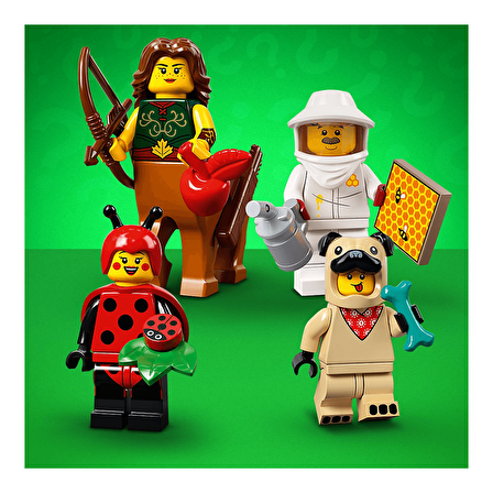 LEGO Minifigures 71029 Series 21 : Gizemli Paket (1Adet)