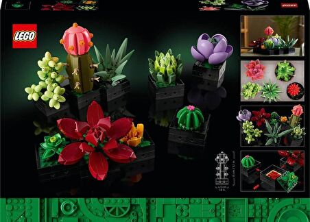 LEGO Creator Expert 10309 Succulents