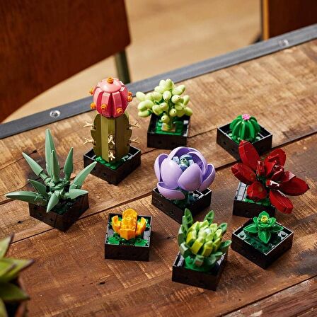 LEGO Creator Expert 10309 Succulents