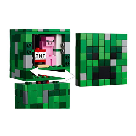 LEGO Minecraft Sarmaşık 21276