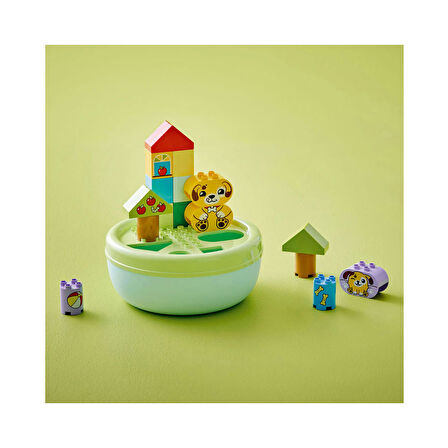 LEGO Duplo Şekil Ayırıcı Köpek Evi 10441