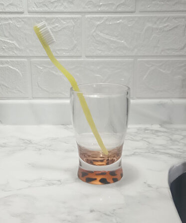 2 ADET DİŞ FIRÇALIK MACUN KABI LEOPAR AKRİLİK 6X6X11CM 270ML BANYO SETİ