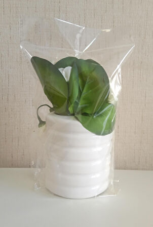 2 ADET VAZO DAHİL,VAZODA ÇİÇEK,BEYAZ YAPAY ÇİÇEK,VAZO DEKORATİF OVAL ÇİZGİLİ 9X6X16CM