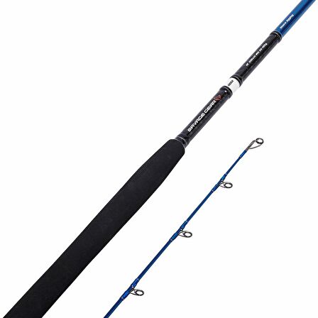 Savage Gear SGS2 Shore Jigging 9'6''/2.90m 20-80 gr 2 Parça