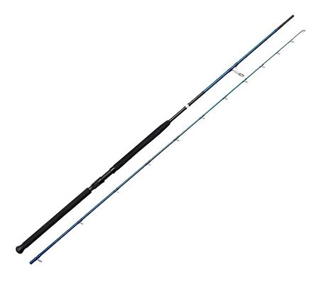 Savage Gear SGS2 Shore Jigging 10'/3.05m 30-100 gr 2 Parça