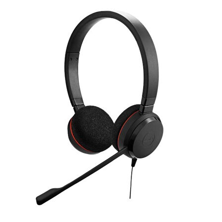 Jabra Evolve 20 Duo USB-C/A MS Mikrofonlu Kulak Üstü Kulaklık