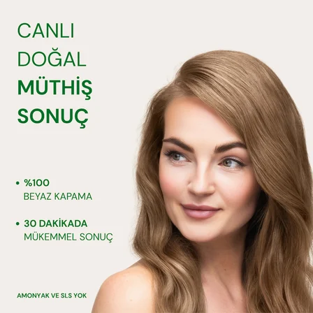 Naturigin Doğal Saç Boyası Küllü Sarı 8.1 ( 2 Adet )