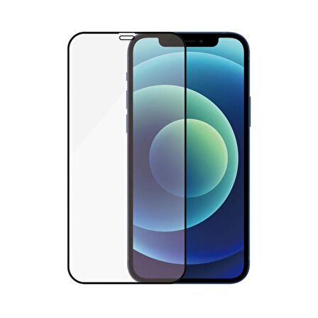 PanzerGlass iPhone 12 mini Uçtan Uca Ekran Koruyucu Cam