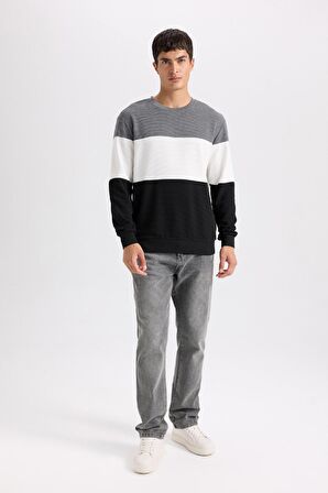 DeFacto Regular Fit Bisiklet Yaka Jakarlı Sweatshirt D5393AX24AUBK27