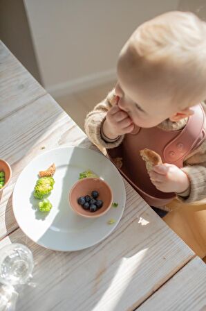 BIBS Dinner Bib - Woodchuck