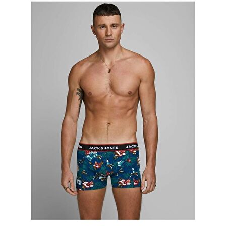 Jack&Jones Erkek Baskılı Boxer 12171253