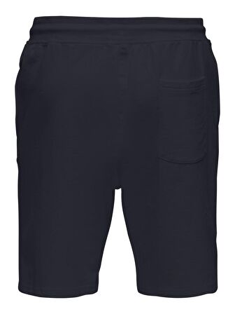 Only & Sons Erkek Şort ONSNEIL SWEAT SHORTS 22015623