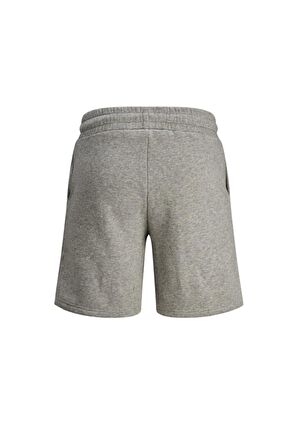 Jack & Jones Erkek Gri Şort - 12186462