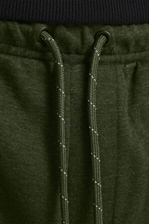 Jack & Jones Erkek Günlük Yeşil Şort - 12186750