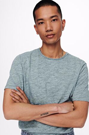 Only & Sons Erkek T-shirt SHORT SLEEVED T-SHIRT - 22005108
