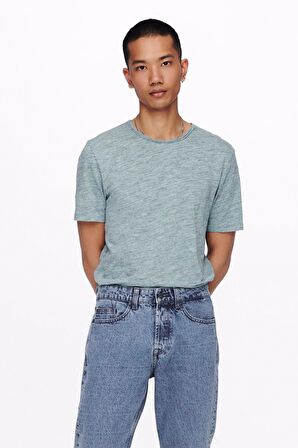 Only & Sons Erkek T-shirt SHORT SLEEVED T-SHIRT - 22005108