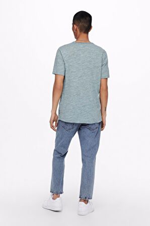 Only & Sons Erkek T-shirt SHORT SLEEVED T-SHIRT - 22005108