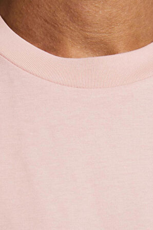Jack & Jones Erkek İşlemeli Baskı Tshirt -  12176780