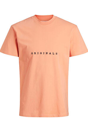 Jack & Jones Erkek İşlemeli Baskı Tshirt -  12176780