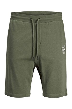 Jack & Jones Erkek Short 12182595
