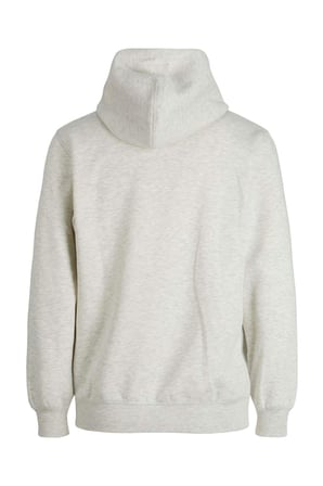 Jack & Jones Erkek Kolej Kapüşonlu Sweatshirt - 12207368