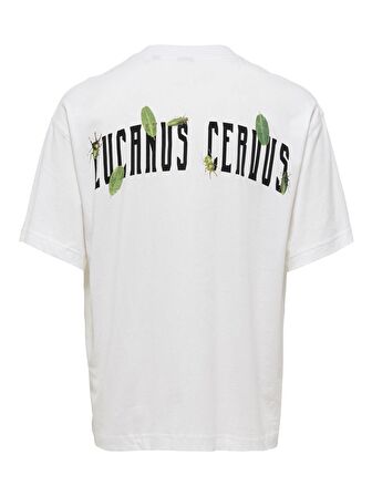Only & Sons Açık Beyaz Erkek T-Shirt 22022638_ONSGARTH OVZ BEETLE SS TEE