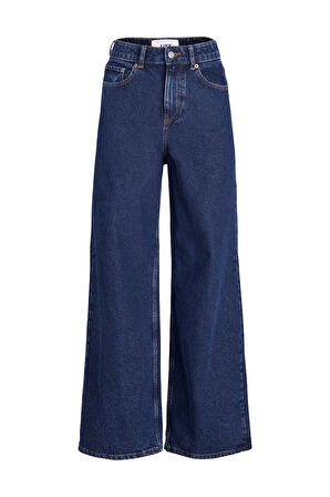 Jack & Jones Jxtokyo Kadın Jean