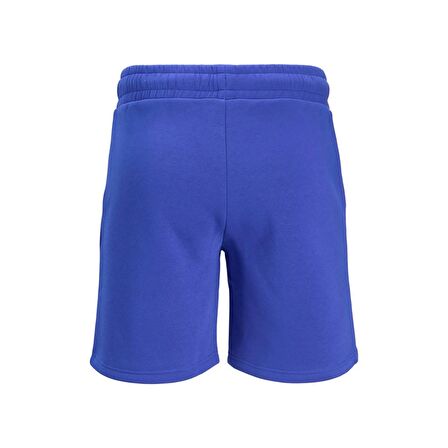 Jack & Jones Erkek Şort 12186787