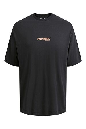 Jack Jones Hollywood Sunfade Erkek Tişört 12210401