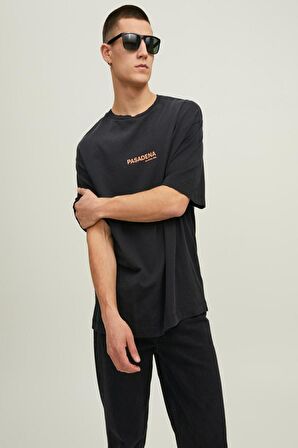 Jack Jones Hollywood Sunfade Erkek Tişört 12210401