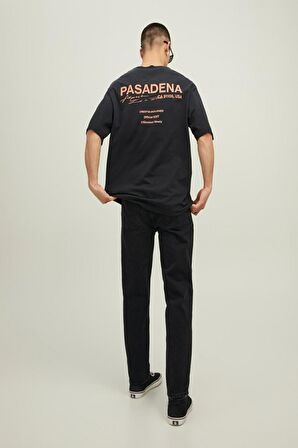 Jack Jones Hollywood Sunfade Erkek Tişört 12210401