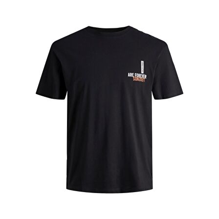Jack & Jones Erkek T-Shirt 12211043