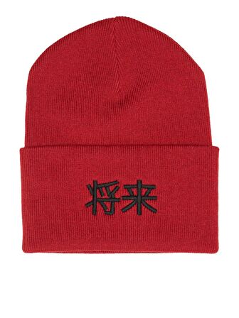 Jack & Jones Erkek Japonca Yazılı Bere JACJAPAN BEANIE - 12214863